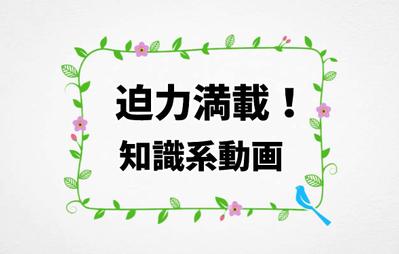 知識系リール動画の編集・演出の担当をしました
