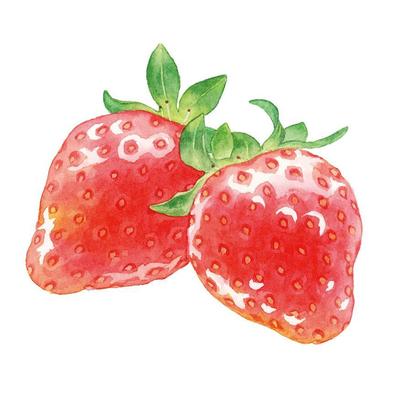いちごの水彩画を自主制作しました