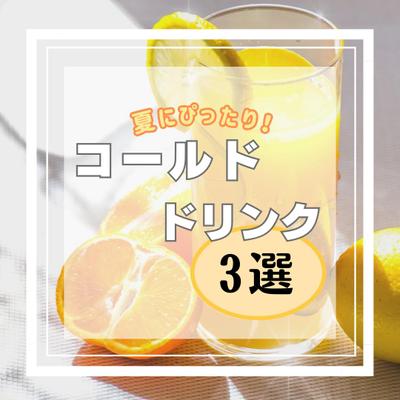 canva無料版でポートフォリオを作成ました