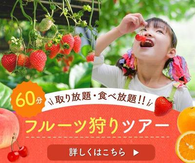 フルーツ狩りの広告バナーを制作しました