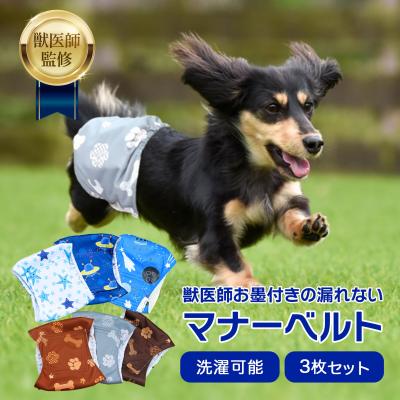ワンちゃん用マナーベルトのEC画像を制作しました