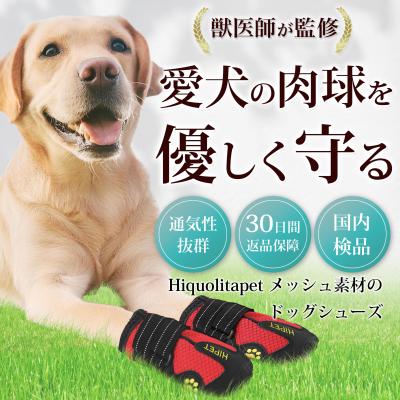 ワンちゃん用シューズのEC画像を制作しました