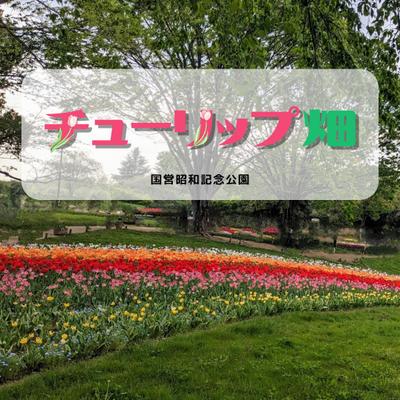 観光スポット紹介のインスタフィード画像を作成しましたました