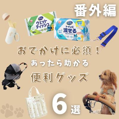 【画像】愛犬とのお出かけに便利なグッズを紹介しました