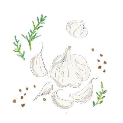 ガーリックイラスト作成しました