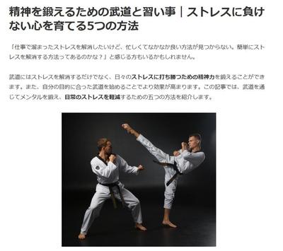 武道を通じてメンタルを強くする方法について生成AIを使い作成しました