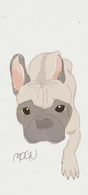 ペットのイラストを描きました