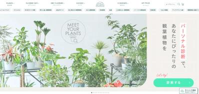 AND PLANTS (アンドプランツ) | 観葉植物・お花の通販ました