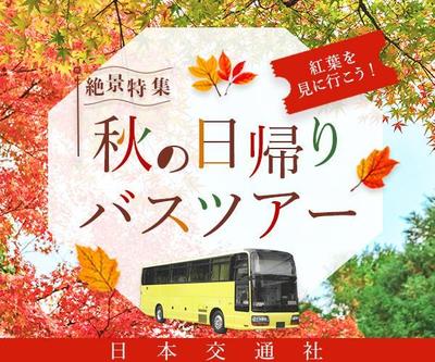 紅葉狩りバスツアーのバナーを架空制作しました