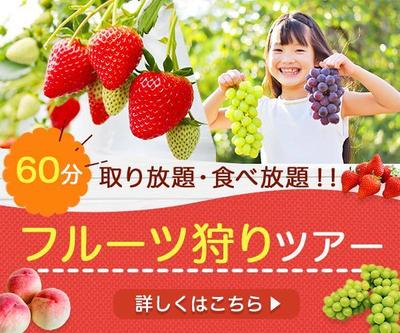 フルーツ狩りツアーのバナーを架空制作しました