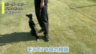 ビジネス系ポートフォリオました