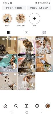 猫の生活についてのInstagramアカウントを運用しました