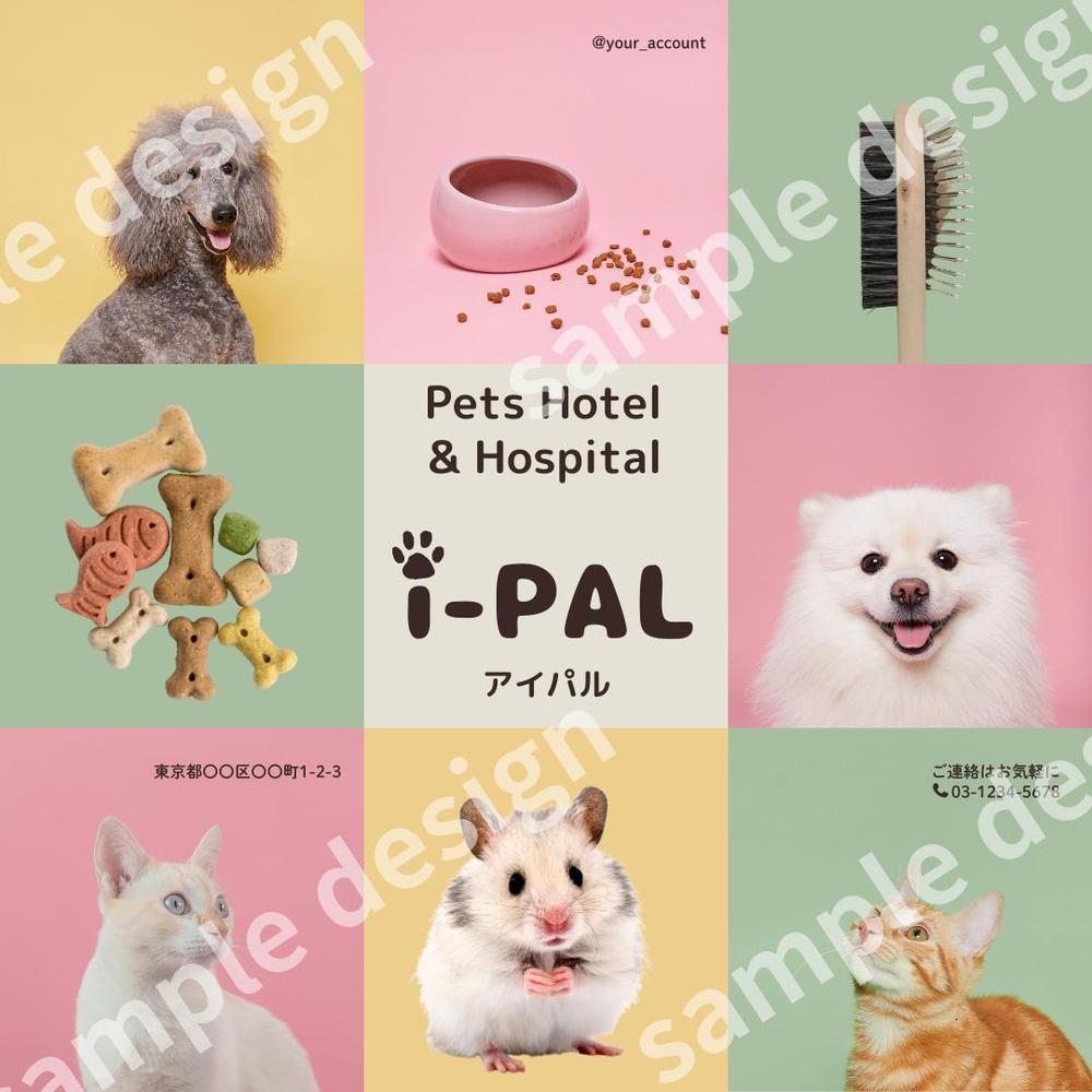 ペットビジネス用に、Instagramのフィードデザインを制作しました