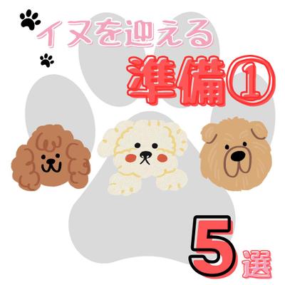 初めて犬をお迎えする方にも分かる投稿にしました