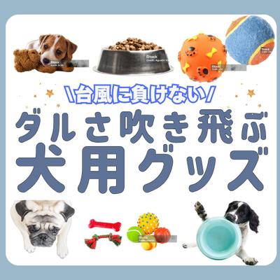 実際に買いたくなるような投稿にしました