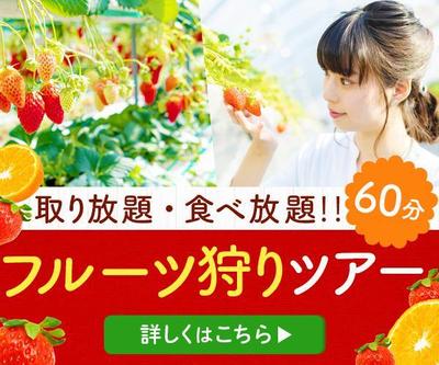 フルーツ狩りツアーバナーしました