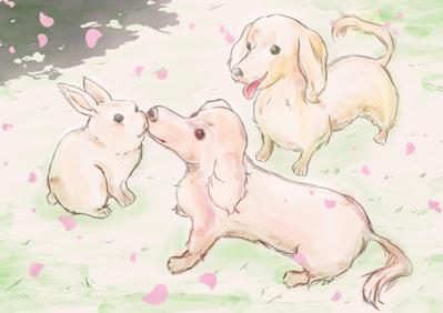 鑑賞用イラストを描かせていただきました