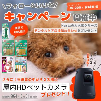 【インスタフィード投稿】グッズ紹介の投稿画像をモデリングしました。ました