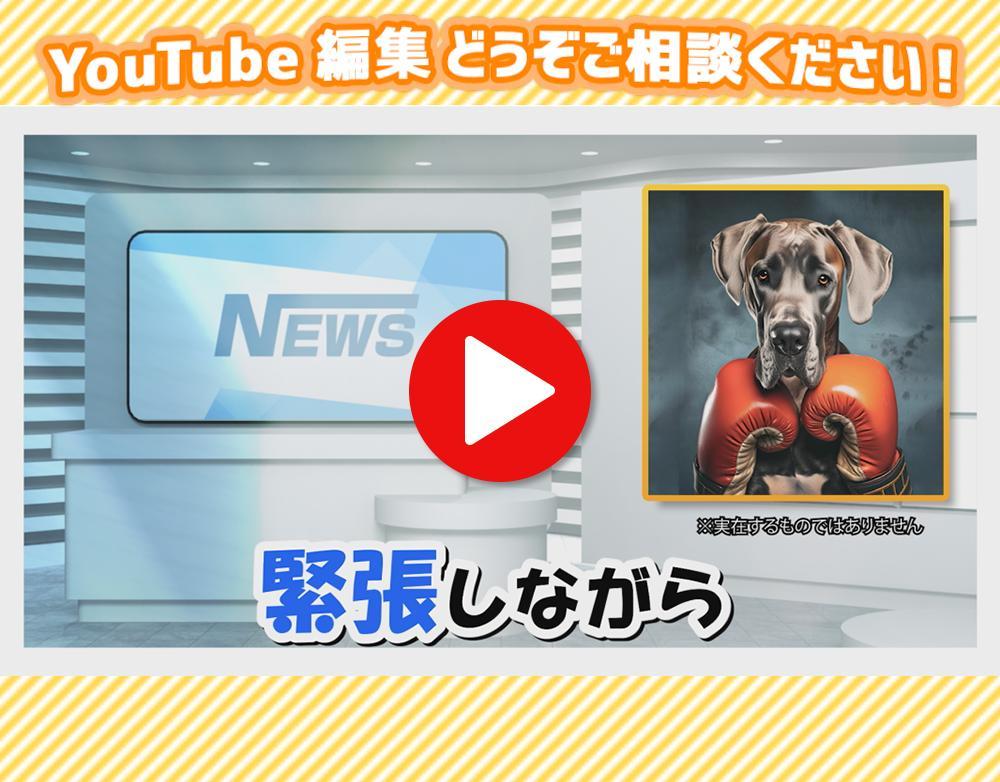Youtube動画 編集いたします！  バラエティ要素を盛り込んだニュース番組風の動画を制作いたしました