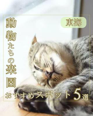 東海地方をテーマに動物たちと触れ合える施設を紹介しました