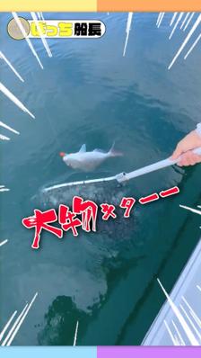 ★ショート動画【エンタメ編】★（youtuberぼっち船長）を編集しました