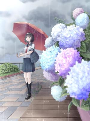 梅雨と紫陽花と夏の予感ました