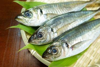 鮮度の高い魚の選び方とポイントという記事を作成しました