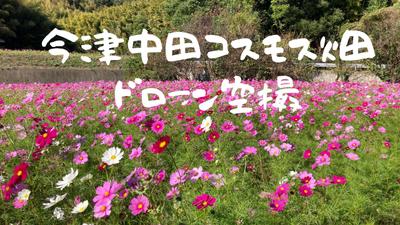 福岡市西区にある今津中田コスモス広場を空撮しました