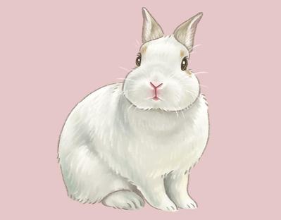 ペットさんの似顔絵を描かせていただきました