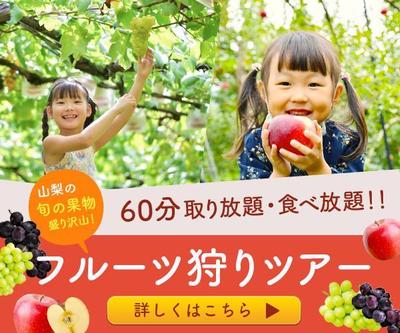 食べ放題フルーツ狩りツアーデザインを制作しました
