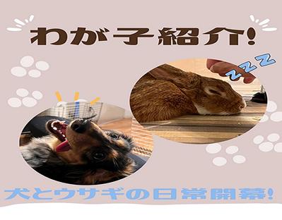 ポートフォリオ作成しました