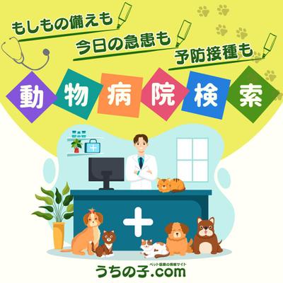 【第2弾】Canva/1080×1080サイズ画像 専門のポートフォリオをご用意しました