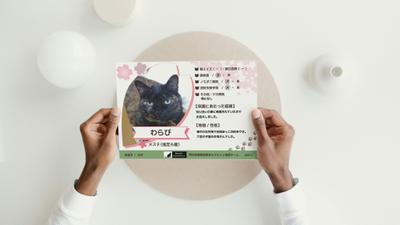 【真野北アニマルレスキュー様】3月譲渡会参加猫さんプロフィールPOPを作成しました