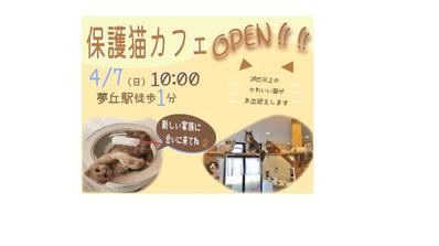 猫カフェバナーました