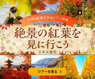 観光名所＆ツアー応募の広告バナーを制作しました