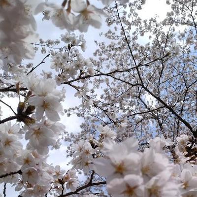 美容系のライティング記事を作成しました