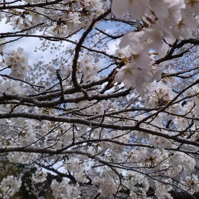 芸能系のYouTubeのショート台本を作成しました