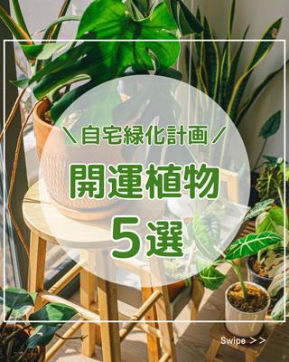 自宅で観葉植物を育て、開運に繋がる投稿のトップページを作成しました