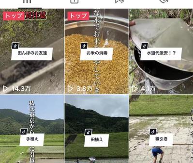TikTokアカウントの運用しました