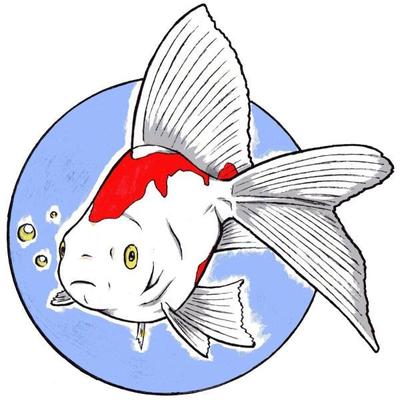 生き物の絵を描きました