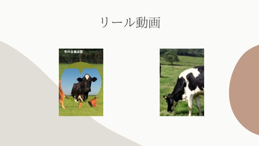 フィード投稿、リール動画、自己紹介を記載したポートフォリオを制作しました