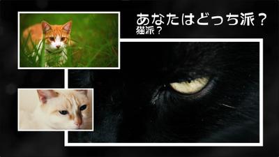 イベントのスライド動画を制作しました