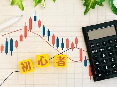 初心者でもわかるように新NISAの始め方を紹介しました
