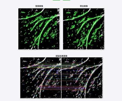 掌紋を登録、照合する掌紋認証webアプリケーションを制作しました