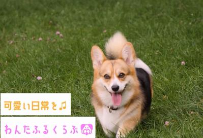 YouTubeオープニング動画の作成を行いました