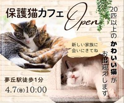 【バナー】保護猫カフェのバナーを制作【Canva】しました