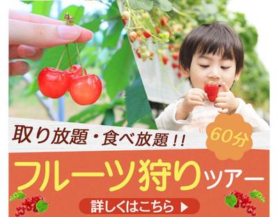 フルーツ狩りツアーの広告バナーを制作しました