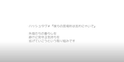 外猫の命を守るための動画制作をしました