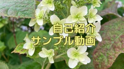 YouTubeに自己紹介動画をアップロードしました