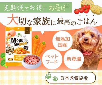 ペットフード定期便の広告バナーを制作しました